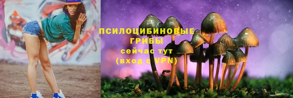 гидропоника Краснослободск