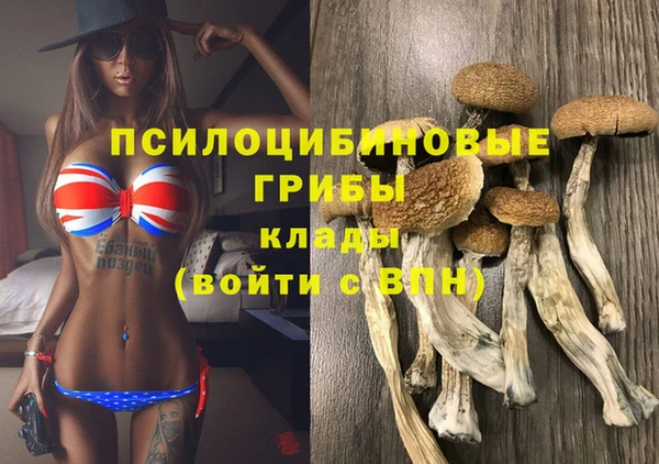 кокс Костерёво